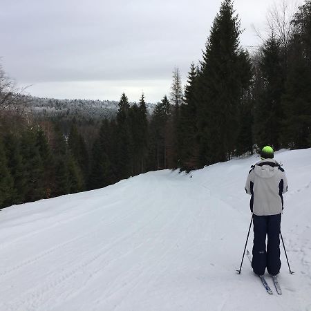 Pokoje Goscinne Vida Krynica Zdroj Εξωτερικό φωτογραφία